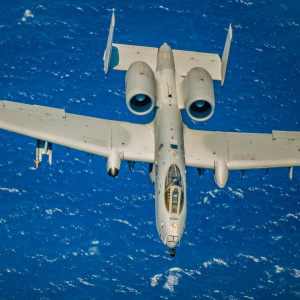 A-10 Thunderbolt II from the 442nd Fighter Wing.